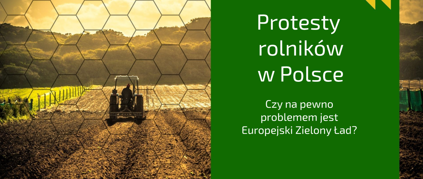 Protesty rolników w Polsce. Czy na pewno chodzi o politykę UE? [KOMENTARZ]